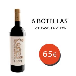 Lote 6 botellas Yllera Vendimia Seleccionada 2019