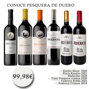 Colección vinos Pesquera de Duero