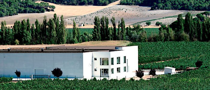 Bodegas y Viñedos Tábula