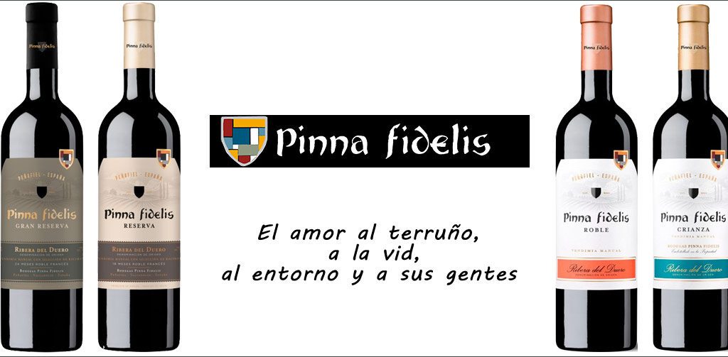 Vinos Pinna Fidelis Ribera del Duero. Bodega Pinna Fidelis en unvinodivino